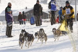 Lenk 2012 SM